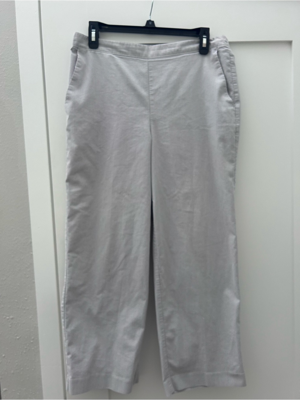 Alfred Dunner Petite Striped Pull-On Pants in Light Gray and White